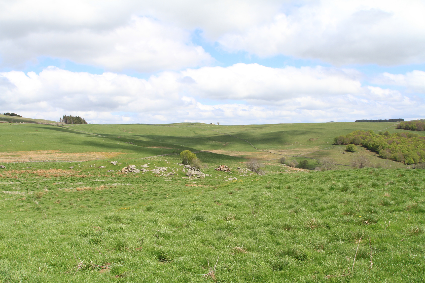 Terrains